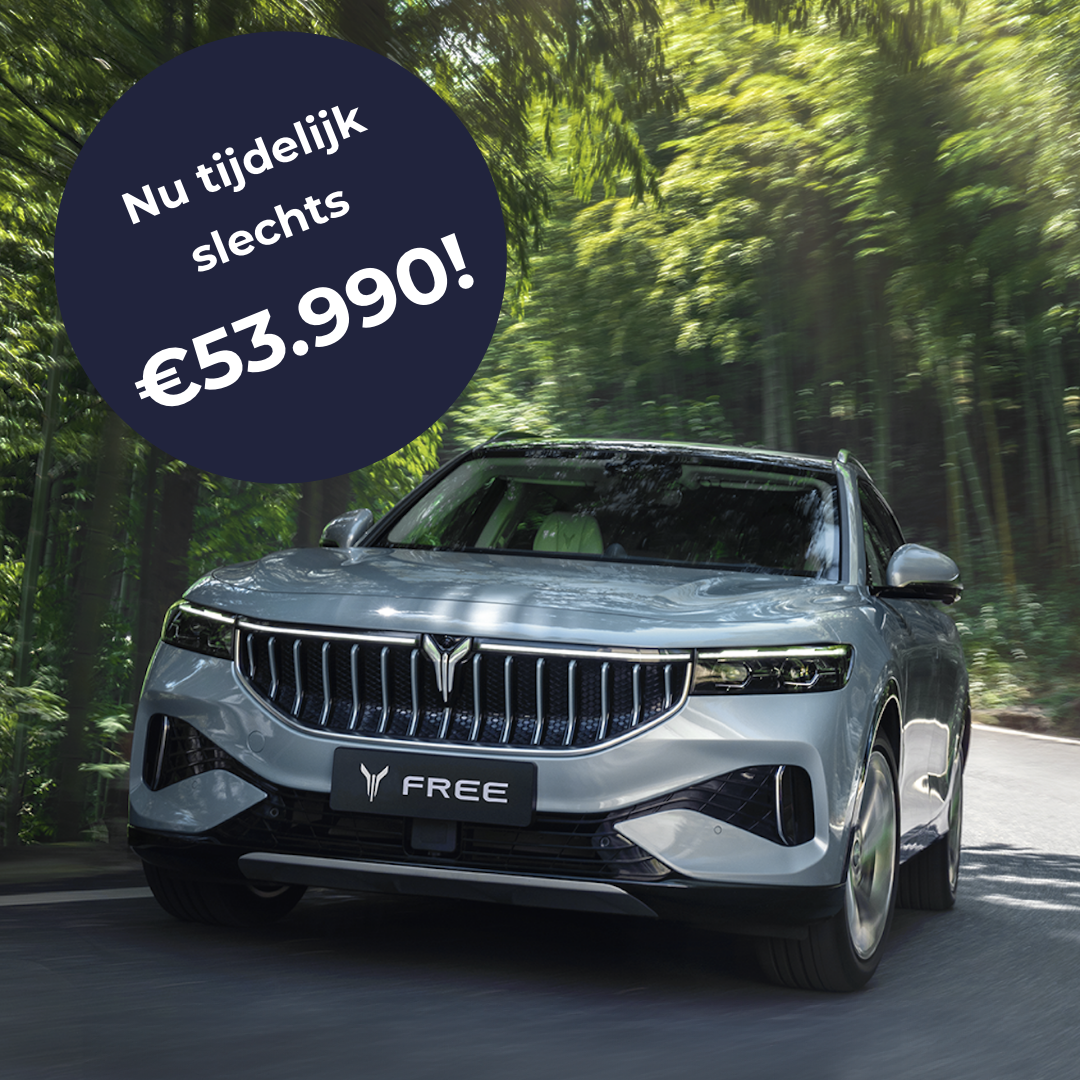 FREE-1x1-Limited-1.1