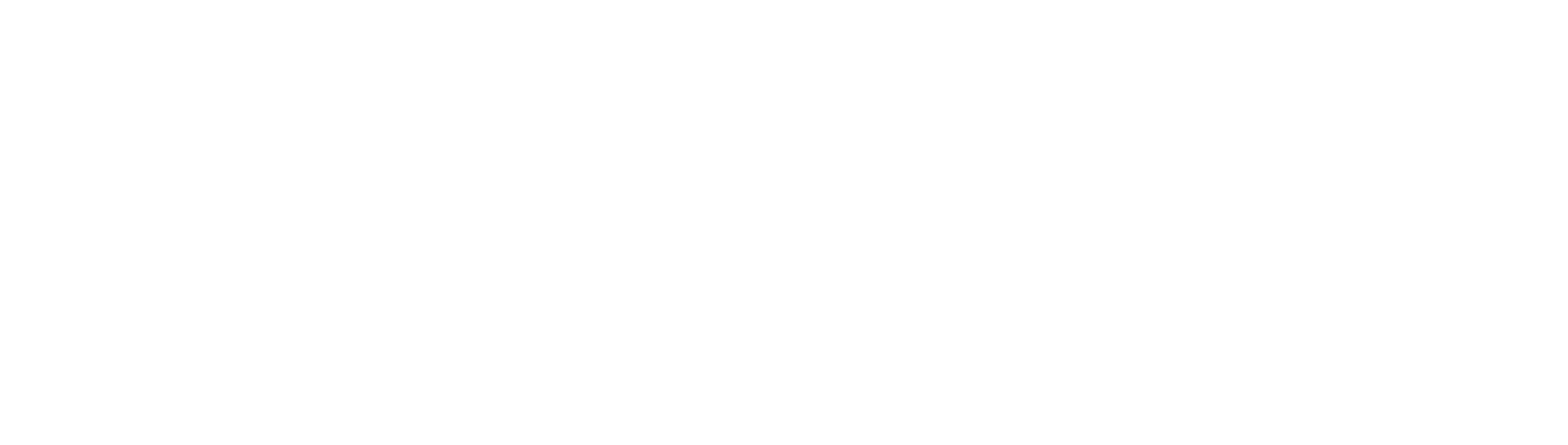 VOYAH_horizontaal_wit-1